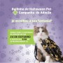 Campanha incentiva adoção de animais neste domingo (24) 