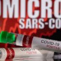 Capital paulista detecta primeiro caso da BA.2, sublinhagem da Ômicron