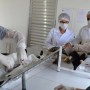 Centro de Zoonoses inicia castração de cães e gatos abandonados