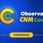 Cerca de 20% dos Municípios pretendem punir servidor que negar vacina, revela pesquisa da CNM