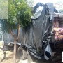 Cippa apreende quase 12 toneladas de carvão ilegal