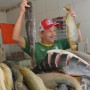 Comerciantes esperam boas vendas para a Semana Santa