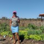 Comunidade rural de Baianópolis cresce impulsionada por projeto de desenvolvimento sustentável
