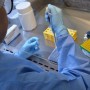 Continua alto o número de casos de COVID-19 registrados em Feira de Santana