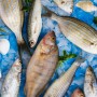 Da aparência à textura: nutricionista explica como escolher o peixe para o almoço da Semana Santa 