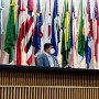 Em Brasília, Feira adere ações da Primeira Infância para o mês de agosto