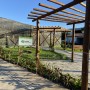 Embasa inaugura novo espaço de plantio e doação de mudas em Feira de Santana