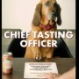 Empresa norte-americana cria “cerveja” para cachorros e oferece US$ 20 mil por participação em anúncio