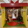 Estudantes da UNIFACS criam espaços instagramáveis de Natal para Boulevard Shopping 