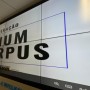 Forças de segurança da Bahia prendem mais de 400 pessoas na 13ª Fase da Operação Unum Corpus