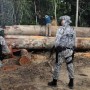 Governo autoriza Forças Armadas a combater desmatamento em Mato Grosso