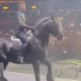 Gusttavo Lima leva cavalo ao palco durante show e divide opiniões nas redes