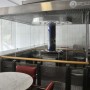 Hoje é Dia: combate ao fumo e canonização da Madre Teresa de Calcutá
