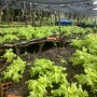 Governo do Estado amplia acesso à água para produção no rural baiano 