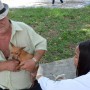 Mais doze bairros com vacinação de cães e gatos neste sábado