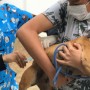 Mais de 18 mil cães e gatos vacinados contra a raiva em Feira de Santana