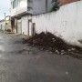 Moradores do Campo Limpo Cobram da Prefeitura de Feira Retirada de Galhos na Rua Campina Verde