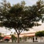 Natal Seguro: Universitários arrecadam donativos para auxiliar idosos do Lar Irmão Velho, em Feira de Santana  
