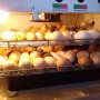 Organização associativa aliada a políticas públicas trazem resultados para famílias agricultoras de Rio Real