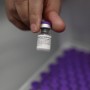 Pfizer vai pedir à Anvisa uso de vacina em crianças de 5 a 11 anos