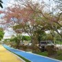 Prefeito visita Parque da Lagoa e reabertura à comunidade é neste domingo (17)