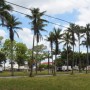 Prefeitura encaminha à Câmara projeto de implantação de Centro de Equideocultura