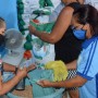 Prefeitura inicia distribuição de sementes em Tiquaruçu