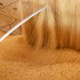 Produção de soja cresce cinco vezes em duas décadas no MATOPIBAPA