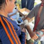 Profissionais de saúde baianos auxiliam no atendimento às vítimas das chuvas no Rio Grande do Sul 