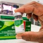 Saiba quem pode ser vacinado contra a gripe em Feira de Santana