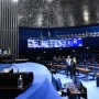 Senado aprova PL que facilita localização de doadores de medula óssea