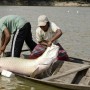Tecnologias da Embrapa aproximam aquicultura do mercado internacional