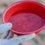 Vitória da Conquista segue no topo de casos prováveis de Dengue na Bahia