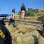 Vitória da Conquista: Quase 3 toneladas de maconha são apreendidas; erva seria vendida por quase R$ 6 milhões
