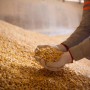 VLI e Embrapa estabelecem parceria para a implantação de programa de desenvolvimento territorial sustentável baseado em agroinovação 