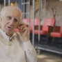 Zé Celso morre, aos 86 anos, em São Paulo